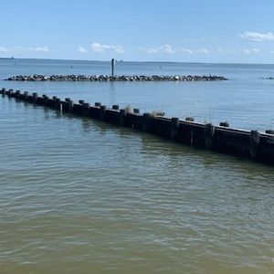 Meet your Posher, Rosa